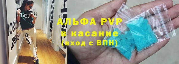 шишки Горняк