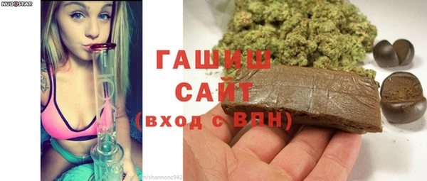 шишки Горняк