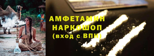 шишки Горняк
