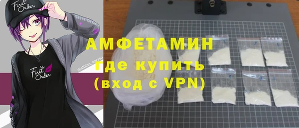 шишки Горняк