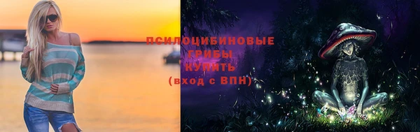 шишки Горняк