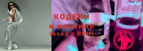 шишки Горняк