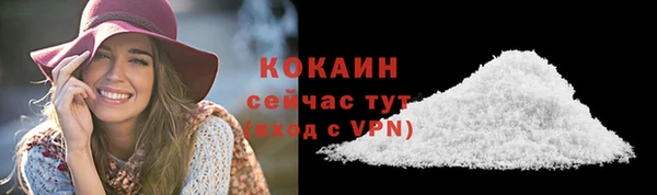 шишки Горняк