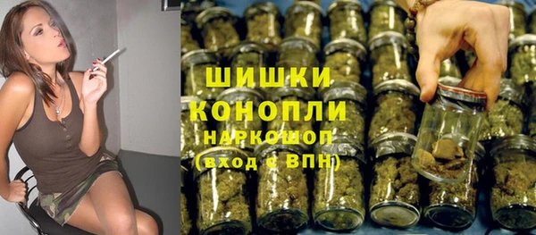 шишки Горняк