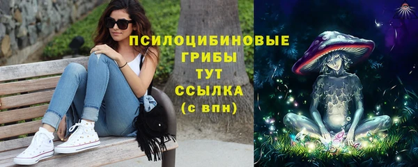 хмурый Горно-Алтайск