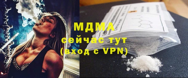 шишки Горняк