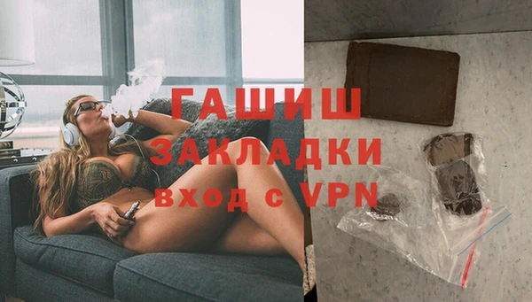 шишки Горняк