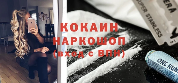 шишки Горняк