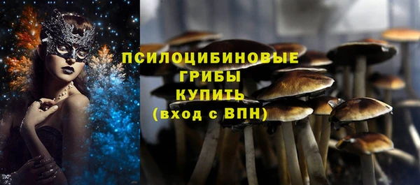 a pvp Горнозаводск