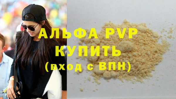 шишки Горняк