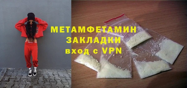 шишки Горняк