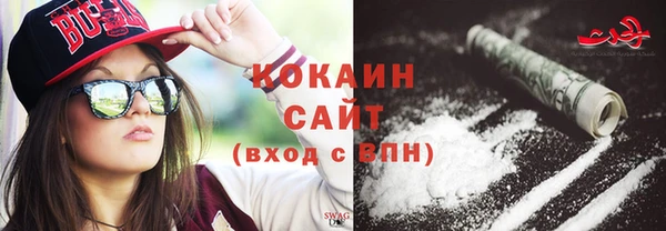 шишки Горняк