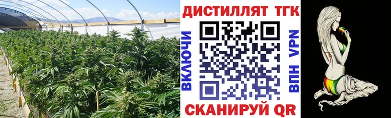 ТГК THC oil  цены наркотик  Курган 