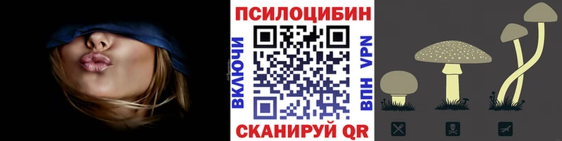 Галлюциногенные грибы мицелий  цена наркотик  Курган 